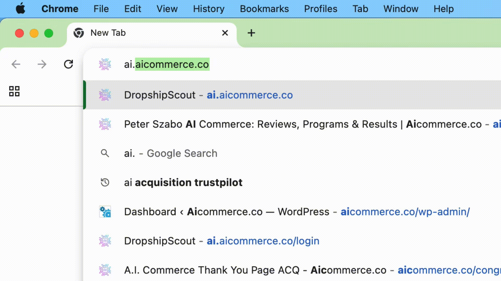 Browser tab with search suggestions displayed