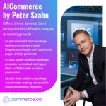 AICommerce service tiers for brand growth