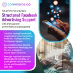 Facebook advertising support and case studies